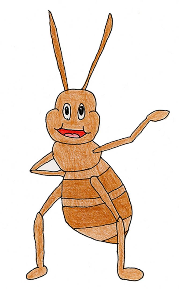 gezeichnetes Bild einer Ameise im Comic-Stil von Ben Matz